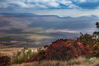 Прикрепленное изображение: J1i3_UqLEfA.jpg